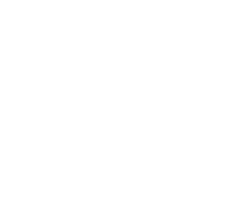 Logo DF Service bianco